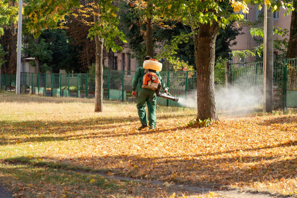 Best Mosquito Control Services  in Indian Lake, TX