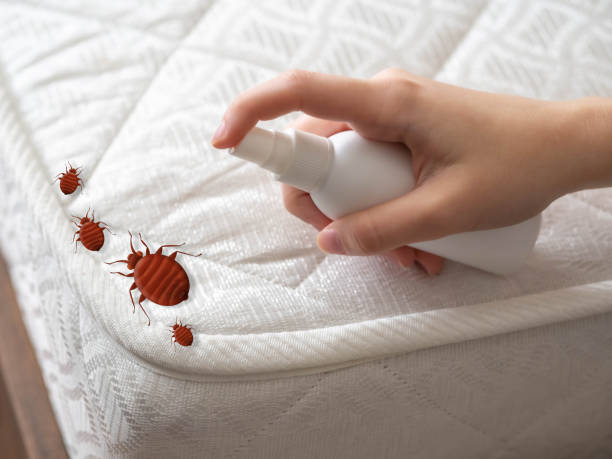 Best Pest Inspection Near Me  in Indian Lake, TX