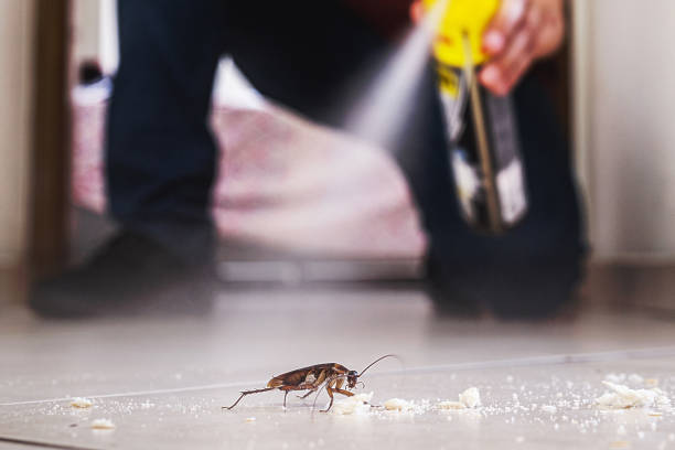 Best Residential Pest Control  in Indian Lake, TX