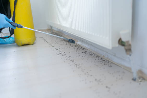 Best Rat Extermination Near Me  in Indian Lake, TX