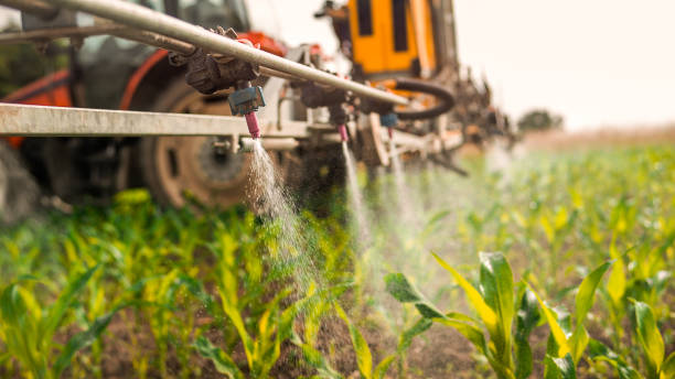 Pest Prevention Services in Indian Lake, TX